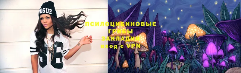 Псилоцибиновые грибы Magic Shrooms  наркошоп  Ковдор 